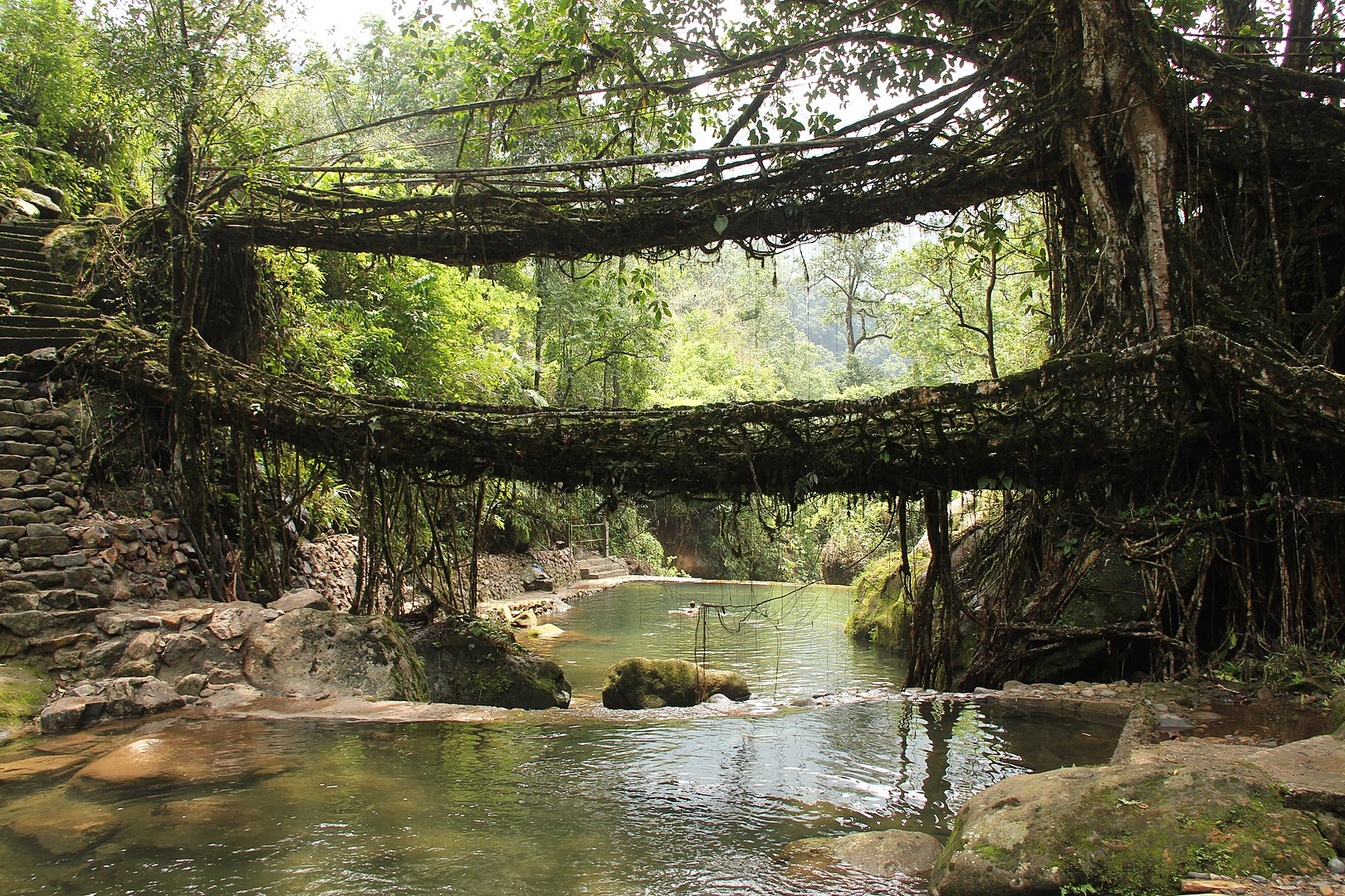 trek to living root bridge
